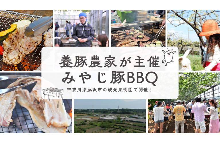 みやじ豚BBQ
